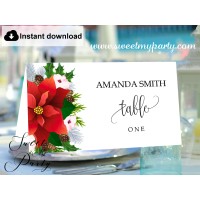 Winter Wedding Escort Cards template printable,Christmas Place Cards template,(154)